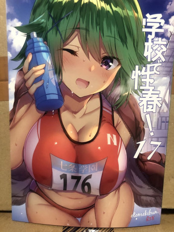 学校で性春!17の表紙画像