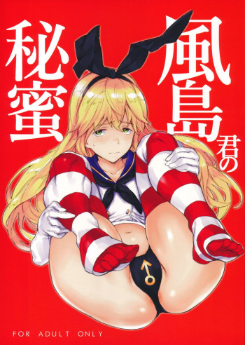 風島君の秘蜜の表紙画像