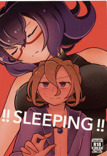 !!SLEEPING!!の表紙画像