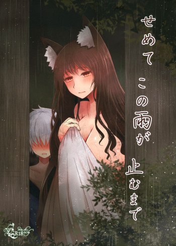 せめてこの雨が止むまでの表紙画像