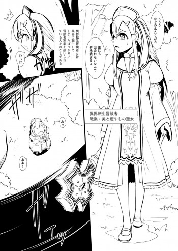 辺境の聖女の表紙画像