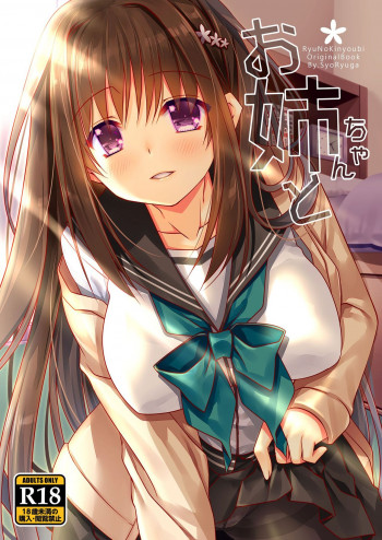 お姉ちゃんと [DL版]の表紙画像