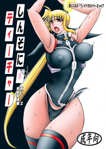 しんそに☆ティーチャー ～真ソニ家庭教師編2～の表紙画像