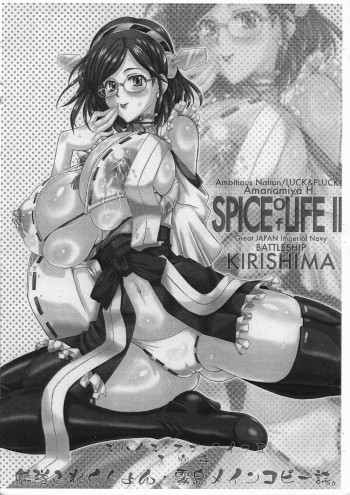 SPICE of LIFE IIの表紙画像