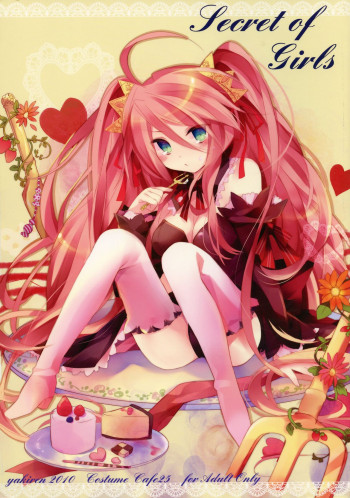 Secret of Girlsの表紙画像