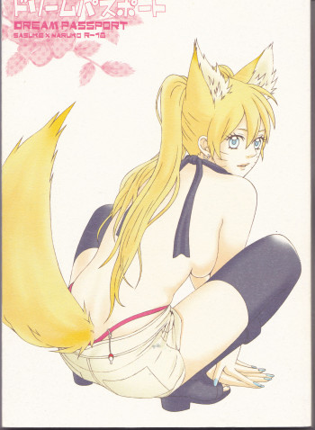 ドリームパスポートの表紙画像