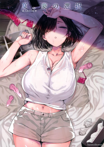 夏、妻の選択の表紙画像