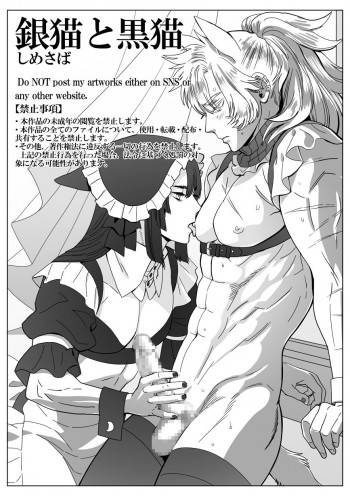 銀猫と黒猫の表紙画像