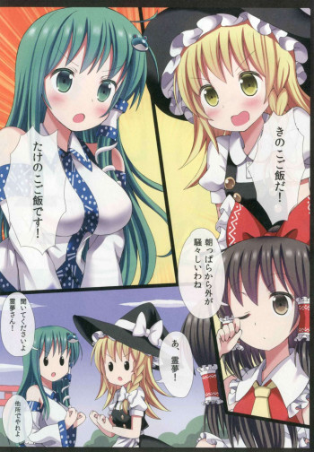 東方恥麗丼～東方地霊殿色情書総集編～の表紙画像