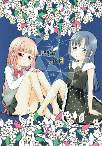ほうき星と欠けた月の表紙画像
