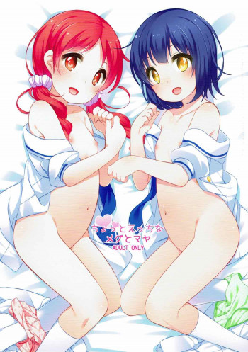 ちょっとえっちなメグとマヤの表紙画像