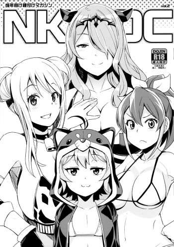 NKDC vol.2の表紙画像