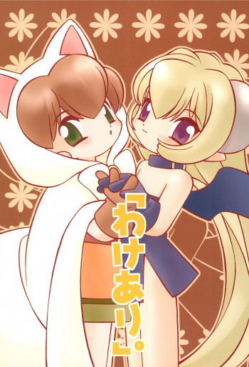 「わけあり。」の表紙画像