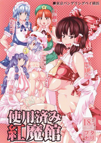 使用済み紅魔館の表紙画像