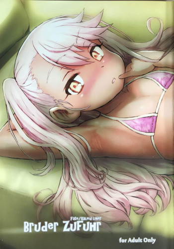 Bruder Zufuhrの表紙画像