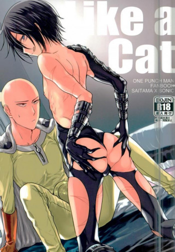 Like a Catの表紙画像