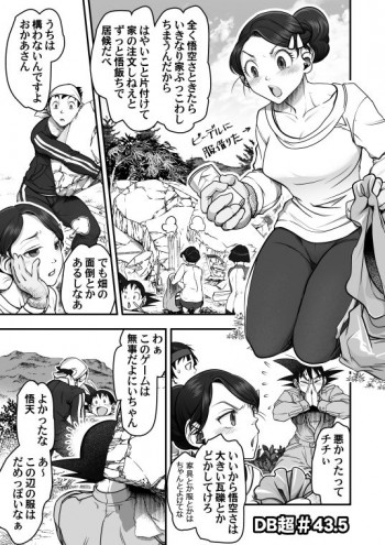 DBS #43.5の表紙画像