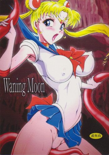 Waning Moonの表紙画像