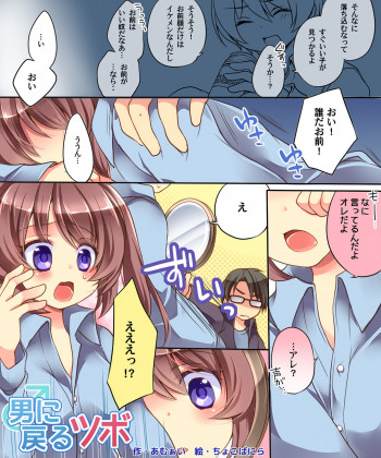 男に戻るツボ&ナリス!の表紙画像