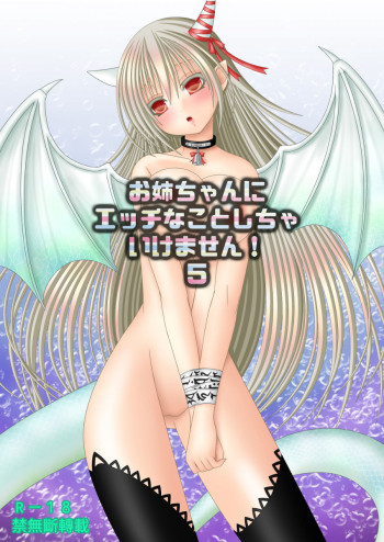 お姉ちゃんにエッチなことしちゃいけません! 5の表紙画像