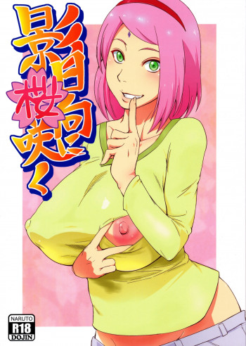 影日向に桜咲くの表紙画像