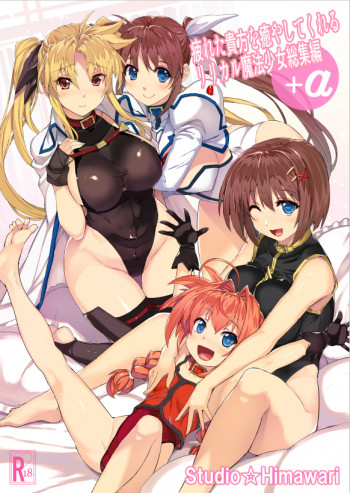 疲れた貴方を癒やしてくれるリリカル魔法少女総集編+αの表紙画像