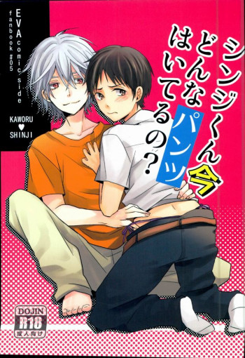 シンジくん今どんなパンツはいてるの?の表紙画像