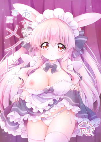 あなたの専属メイドさんの表紙画像