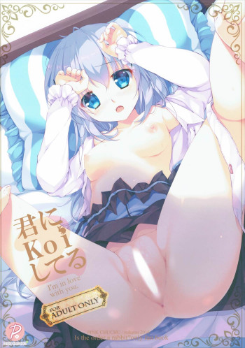 君にkoiしてる2の表紙画像