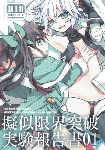 擬似限界突破実験報告書01の表紙画像