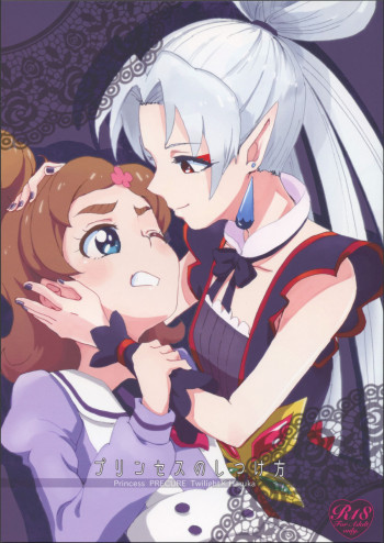 プリンセスのしつけ方の表紙画像
