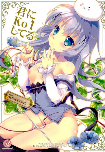 君にkoiしてるの表紙画像