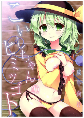 こいしちゃんのヒミツゴトの表紙画像