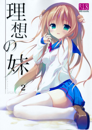 理想の妹2の表紙画像