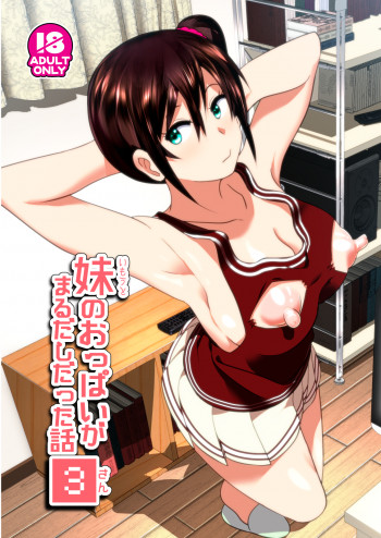 妹のおっぱいがまるだしだった話3 [DL版]の表紙画像