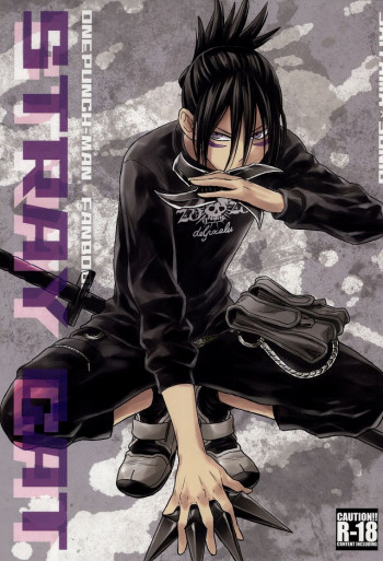 stray catの表紙画像