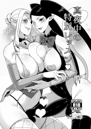 真夜中の特別レッスンの表紙画像
