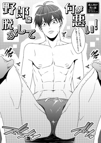 野郎を脱がして何が悪い！ [DL版]の表紙画像