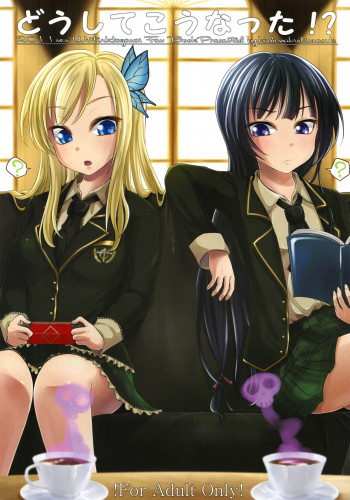 どうしてこうなった！？の表紙画像