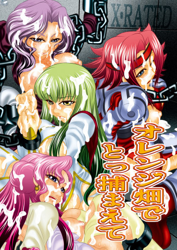 オレンジ畑でとっ捕まえての表紙画像