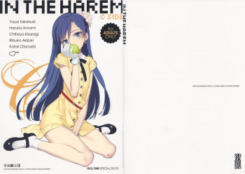 IN THE HAREM C SIDEの表紙画像