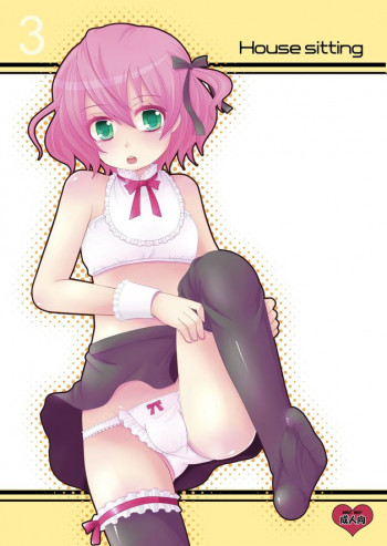 House sittingの表紙画像