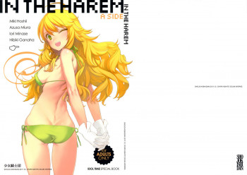 IN THE HAREM A SIDEの表紙画像