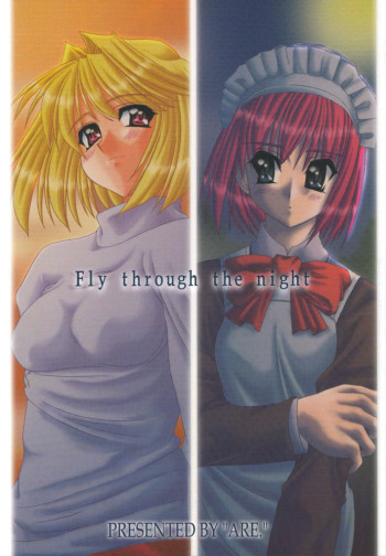 Fly through the nightの表紙画像