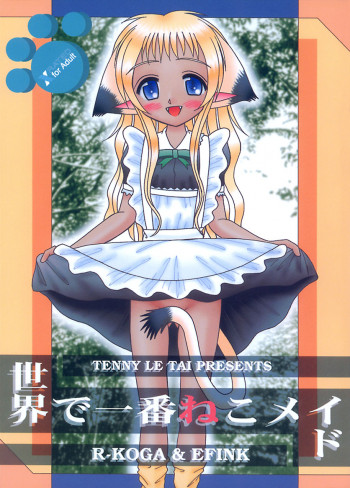 世界で一番ねこメイドの表紙画像