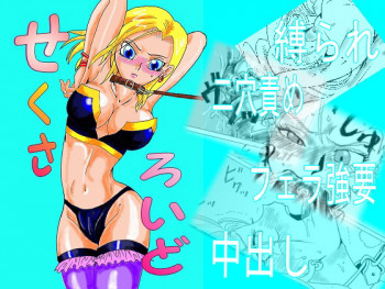 Sexaroidの表紙画像