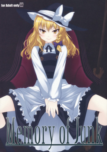 Memory of Junkの表紙画像