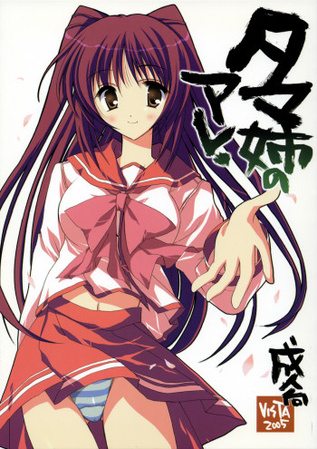 タマ姉のアレの表紙画像