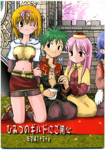 秘密のギルドにご用心 1+2+αの表紙画像