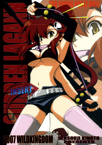 INSERTの表紙画像